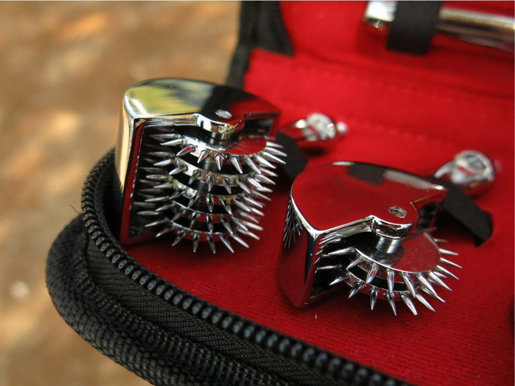 Wartenberg Pinwheel Sensory Set – 1, 3, 5 & 7 Wheel Stainless Steel Kit with Case