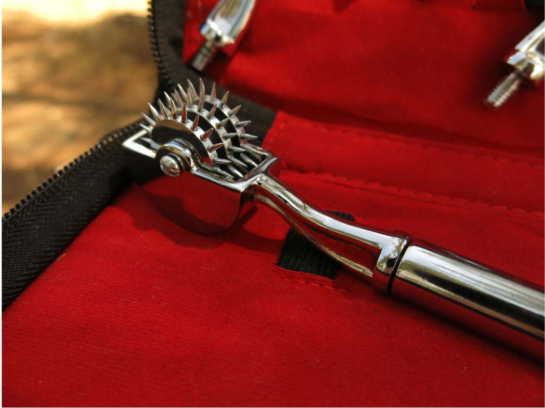 Wartenberg Pinwheel Sensory Set – 1, 3, 5 & 7 Wheel Stainless Steel Kit with Case