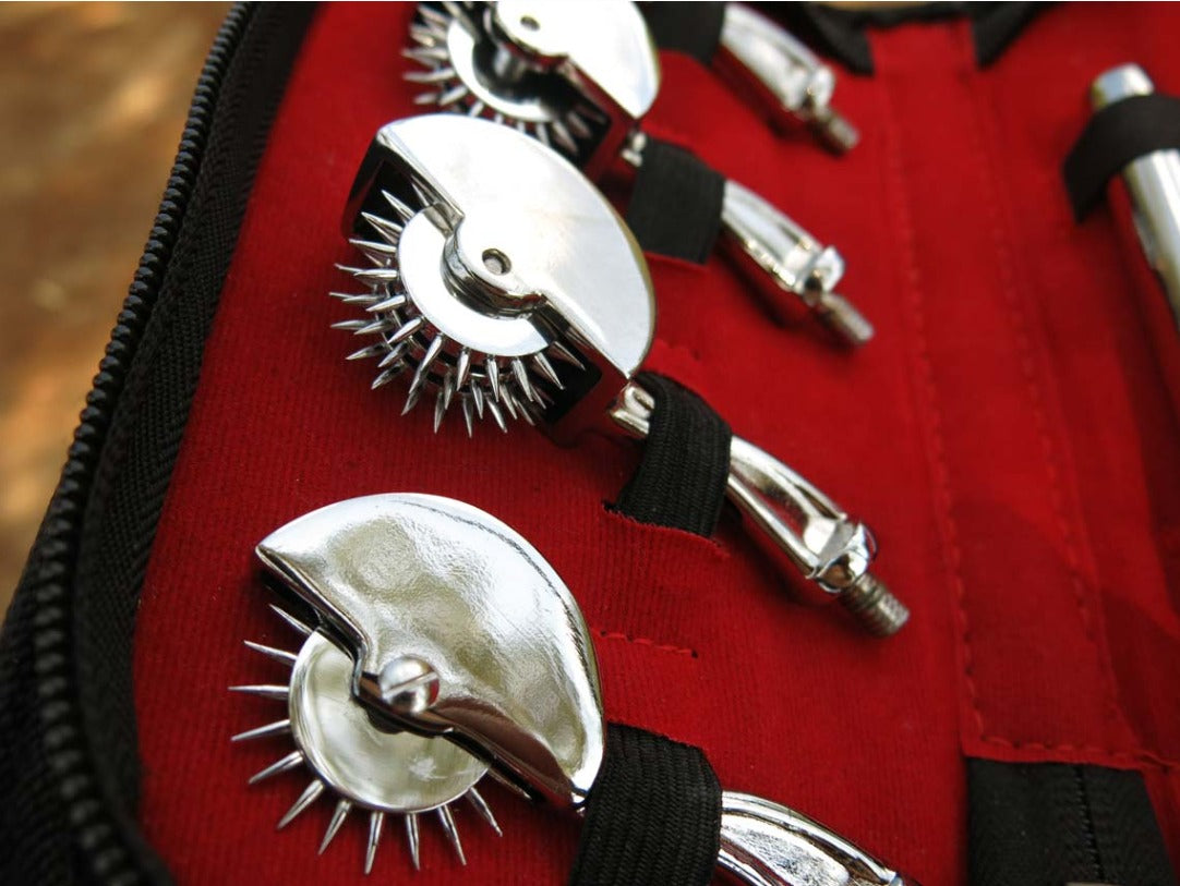 Wartenberg Pinwheel Sensory Set – 1, 3, 5 & 7 Wheel Stainless Steel Kit with Case