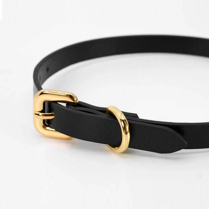 Black Leather Collar with Gold Bell Charm & Chain Leash | Sensory Craft