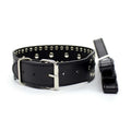 Studded Leather Collar with Buckle Closure – Punk Rock Choker Set