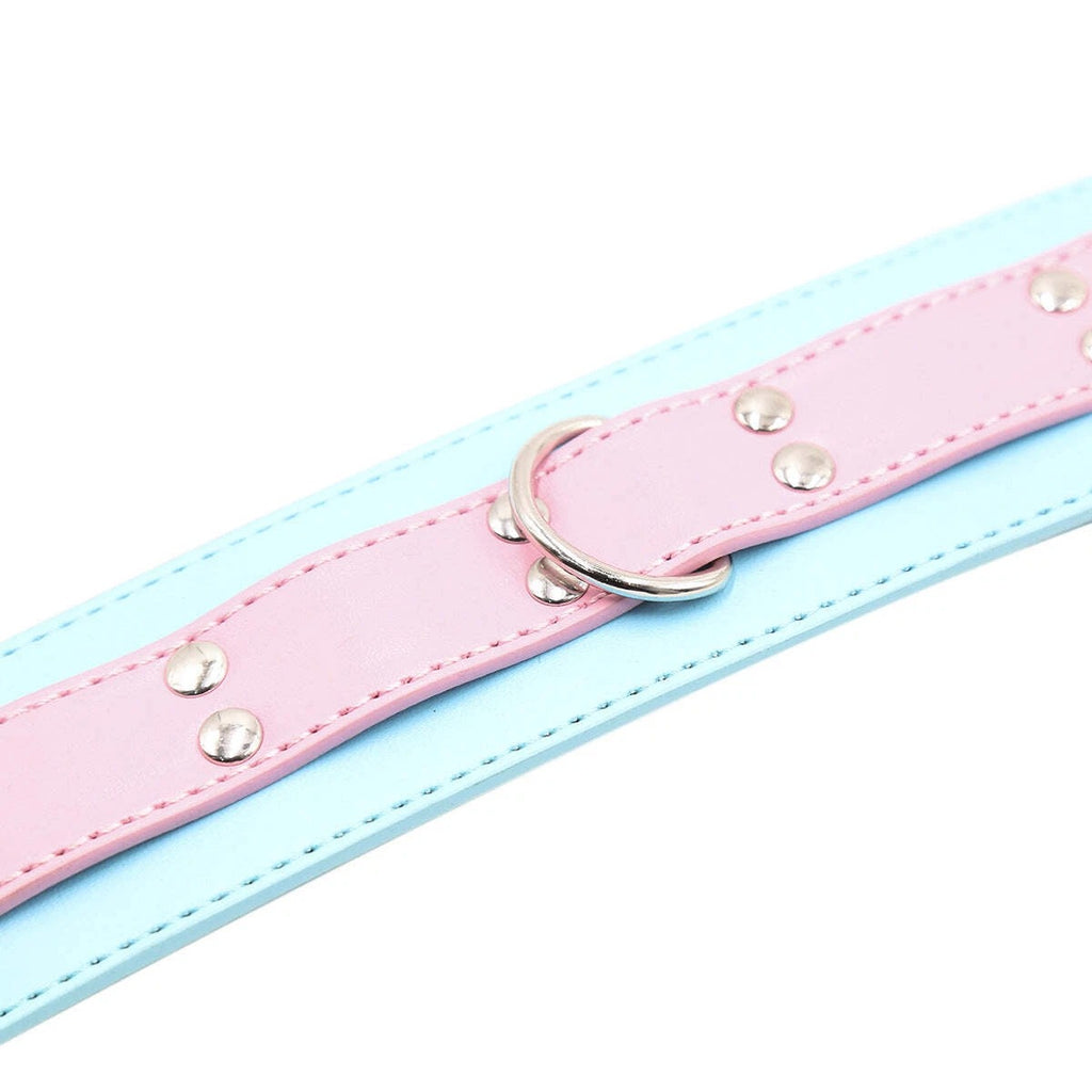 Pink & Blue Two-Tone Leather Collar with Chain Leash Set | Sensory Craft