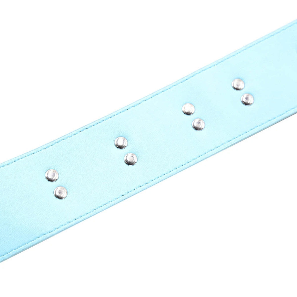 Pink & Blue Two-Tone Leather Collar with Chain Leash Set | Sensory Craft