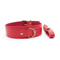 Red Leather Buckle Collar with Matching Leash – Adjustable Choker Set