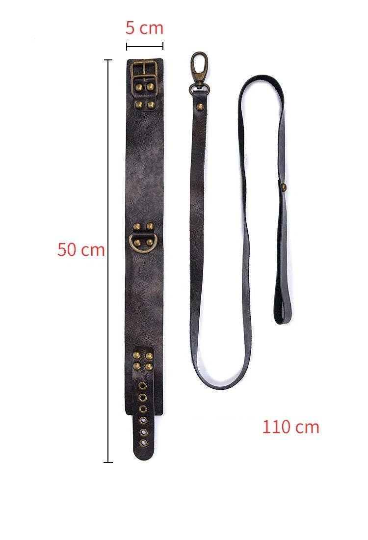 Vintage Bronze Leather Collar with Long Leash – Antique Brass Hardware Set
