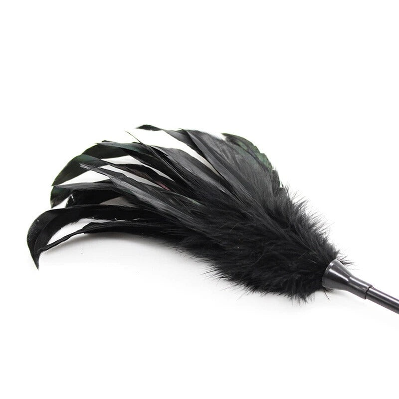 Sensory Craft Feather Tickler & PU Leather Paddle | Premium Feather Teaser Wand
